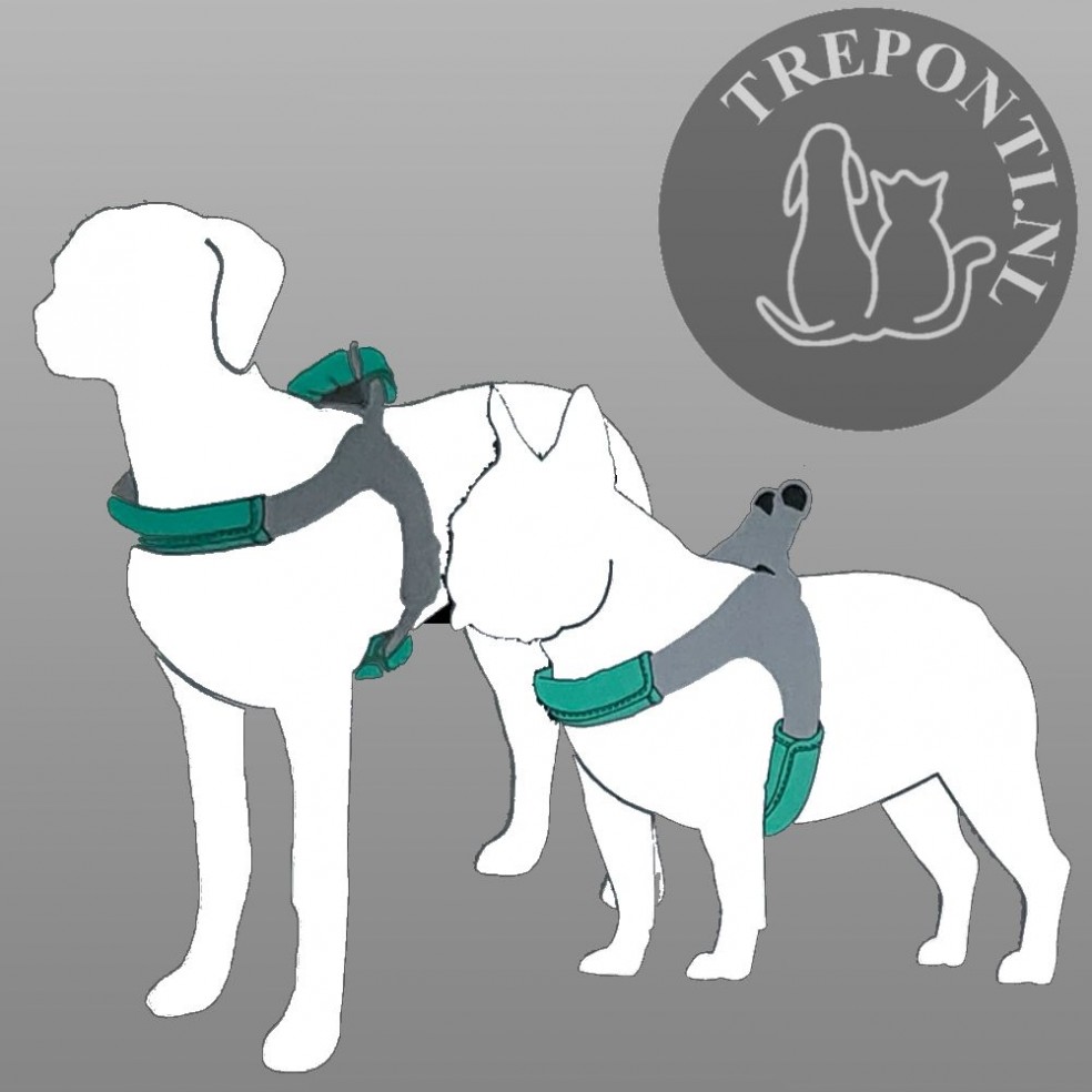 Tre Ponti Harnas voor honden/kleur roze/maat 1,5 tot ca. 4 kg borstomvang 29-33 cm